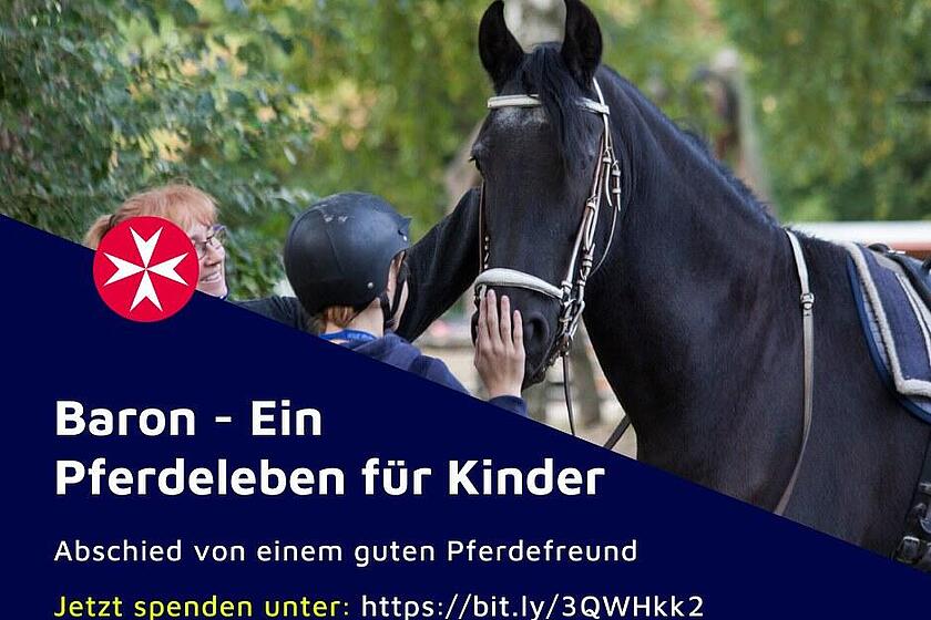 Schwarzes Pferd bei der Therapie 