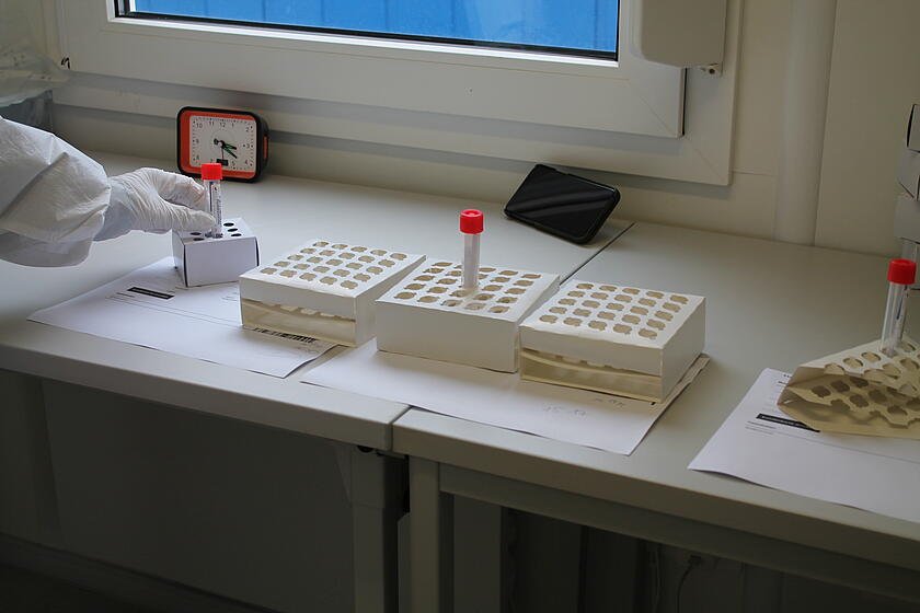 Eine Hand mit Medizinhandschuhen stellt einen Schnelltest zu anderen auf einen Tisch.