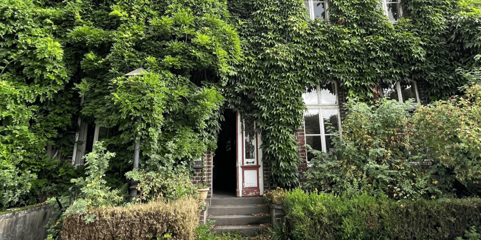 Grün zugewachsener Hauseingang