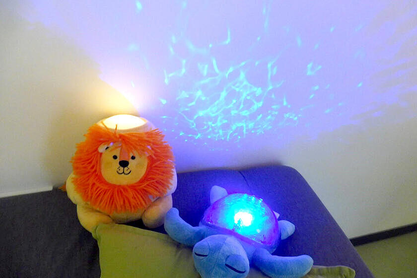 Kuscheltiere (gelber Löwe und blaue Schildkröte), die passend zur Lichterwoche leuchten. 