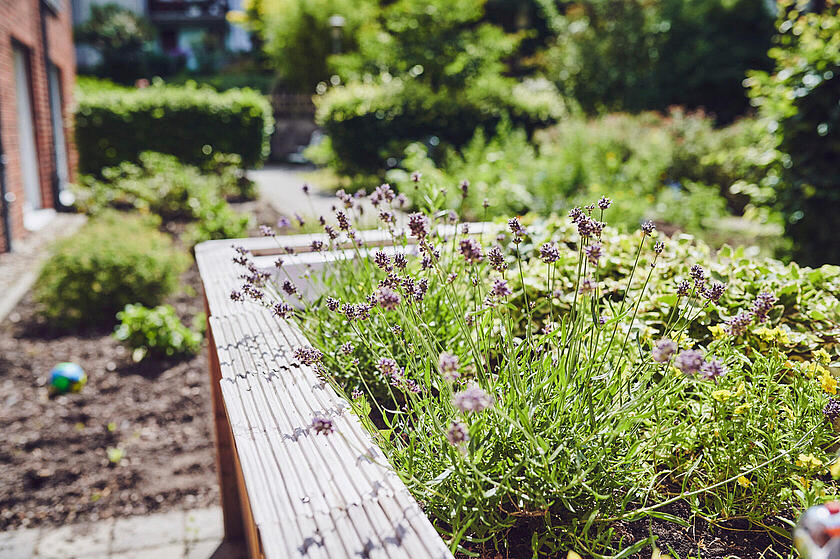 Anpflanzung im Garten des Johanniter-Stiftes Wuppertal