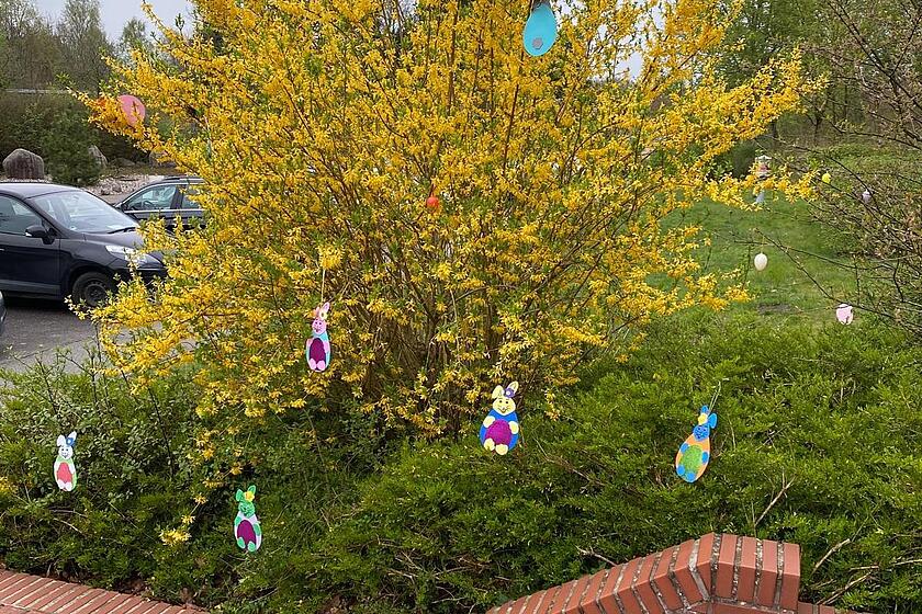 In einem Forsythienstrauch hängen gebastelte Osterhasen aus Papier.