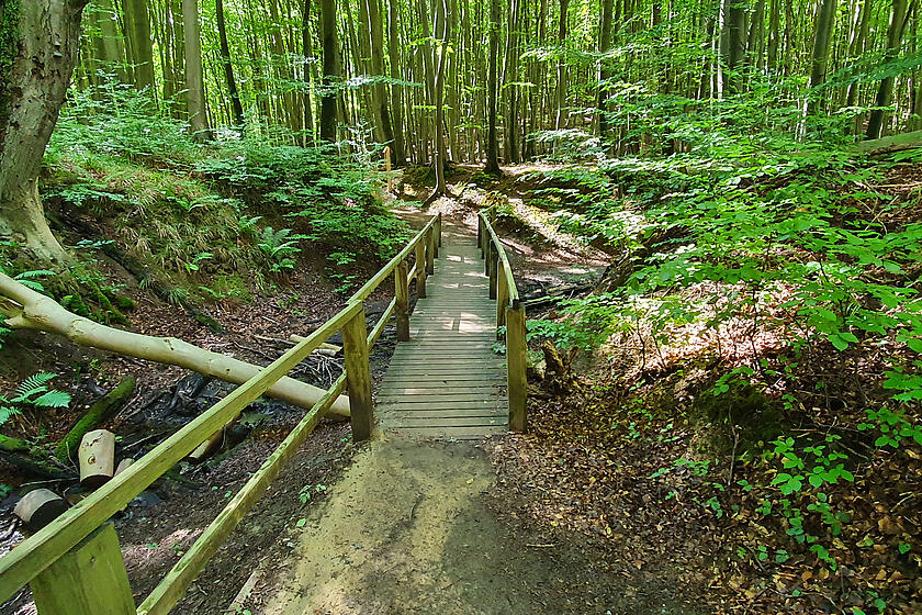 eine Brücke aus Holz im grünen Wald