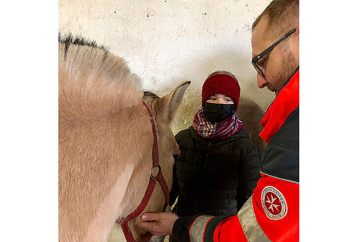 Erste Hilfe am Pferd