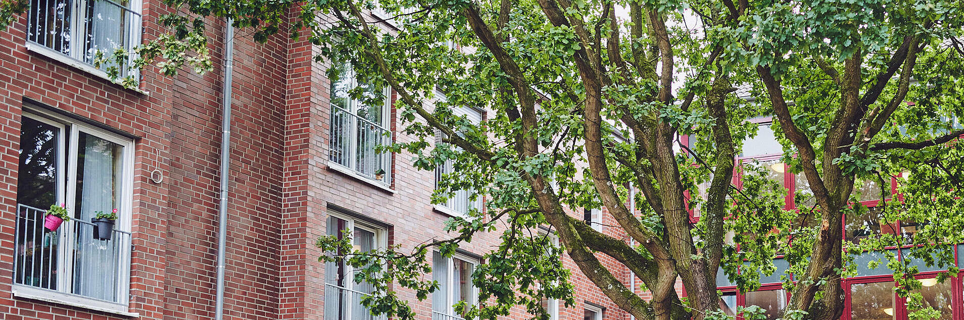 Innenhof mit großem Baum und Bank zum Ein- und Durchgang der zwei Häuser im Johannter-Zentrum Kaarst.