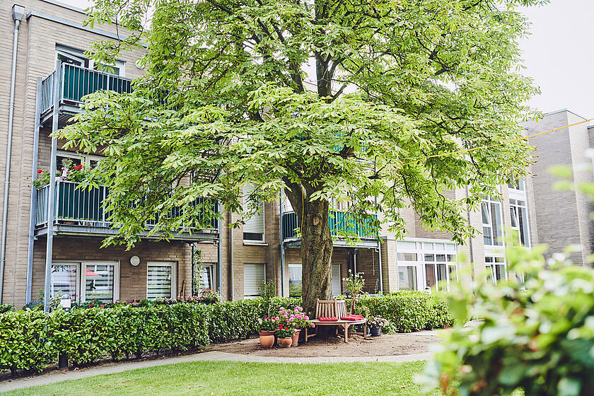 Gartenbank unter einem großen Baum in der Anlage Johanniter-Stift Flittard.