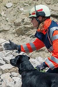 Hunde hören und riechen viel besser als Menschen. Deshalb können sie auch Verunglückte aufspüren, die unter Trümmern verschüttet sind.