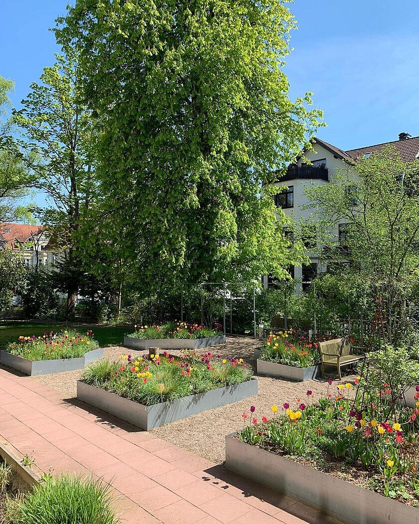 Blumengarten in der Klinik am Korso mit Bäumen und bunt blühenden Tulpen