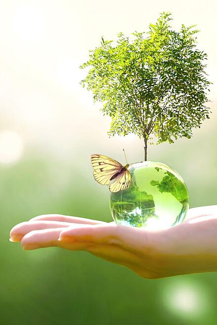 Natur Bild mit Hand in dessen Innenfläche ein Baum wächst und ein Schmetterling liegt 