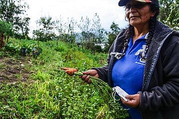 Esther auf einem Feld mit einer Karotte in der Hand