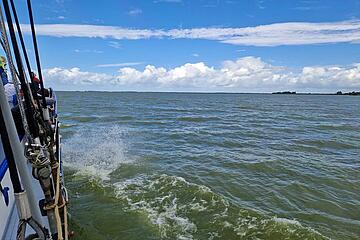 Blick vom Schiff