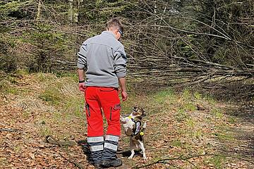 Hund Mensch Team