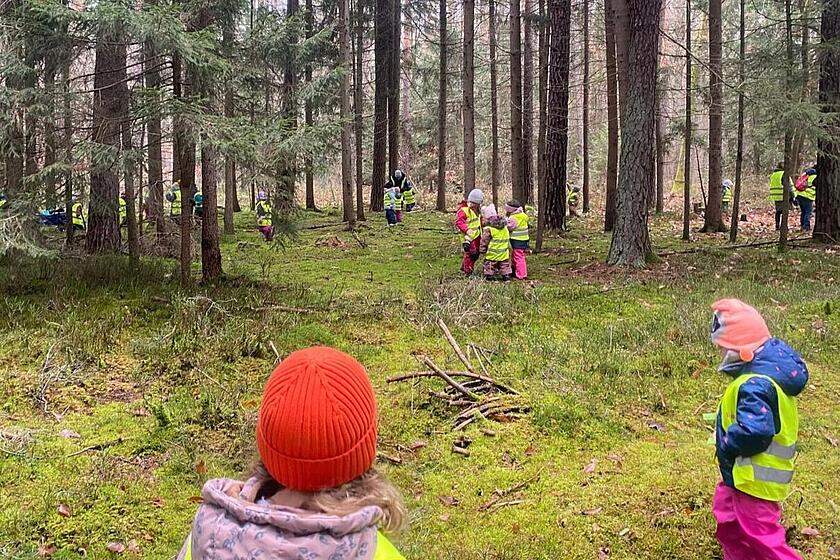 Viele Kindergartenkinder laufen im Wald umher und verteilen Futter für die Waldtiere