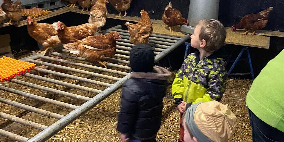 Kinder besuchen den Stall 2