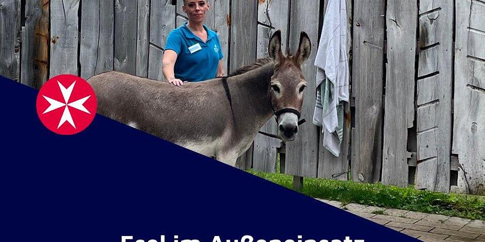 Esel beim Besuch in der Bördetherme Bad Sassendorf 