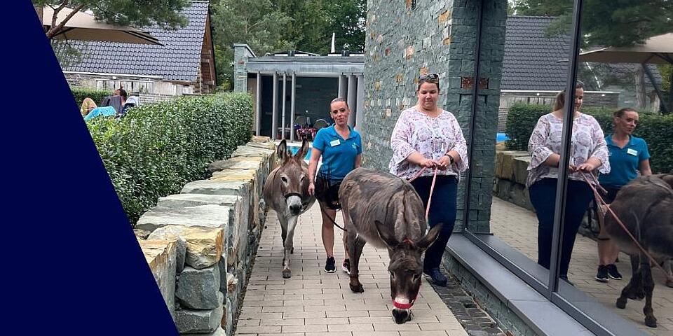 2 Esel in der Bördetherme Bad Sassendorf 